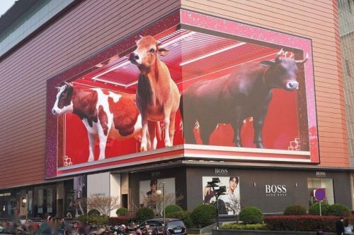 Glasses-free 3d LED Video Wall Display Screen