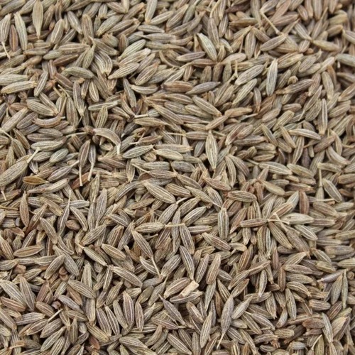 Raw Common Cumin Seeds, For Cooking, Grade Standard : Food Grade