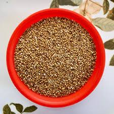 Yellow Natural Kodo Millet Seeds, For Cooking, Style : Dried