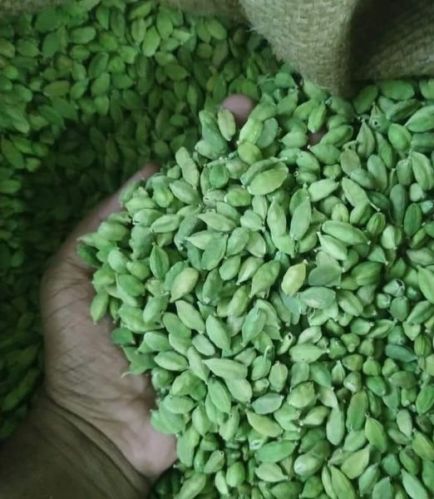 Agrp Afrique Natural green cardamom, Packaging Size : 5kg Per Box