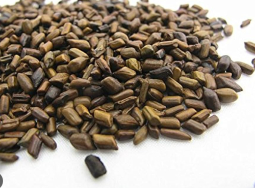 Cassia Tora Or Puwar Seeds, Packaging Size : 1kg