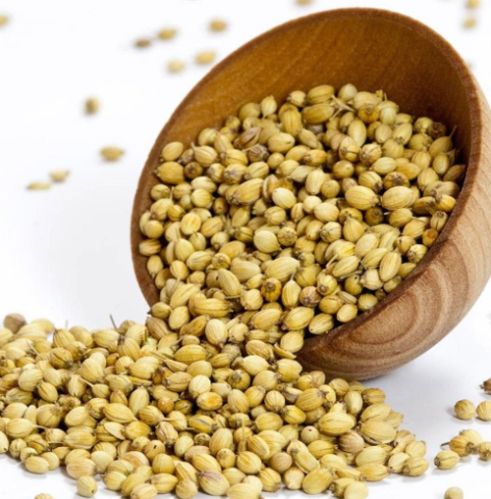 Natural Coriander Seeds, Form : Solid