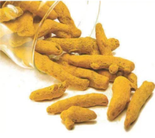 Natural Unpolished Turmeric For Spices