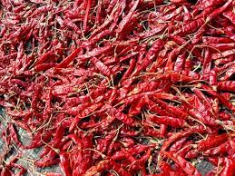 Dry Red Chili For Spices