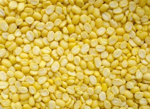 Yellow Moong Dal, Packaging Type : PP Bag