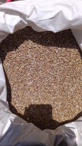 Raw Natural Coriander Seeds, Form : Solid