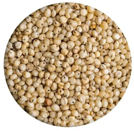 Sorghum Seeds For Food Processing