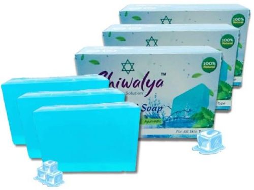 Shiwalya Natural Bath Soaps For Personal