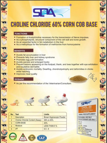 Choline Chloride, Packaging Size : 25kg