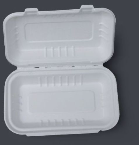 Skyline Overseas Plain Sugarcane Baggasse Clamshell Biryani Box