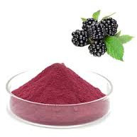 Spray Dried Mulberry Powder For Personal