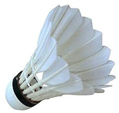 Badminton Feather Shuttlecock, Packaging Type : Corrugated Box