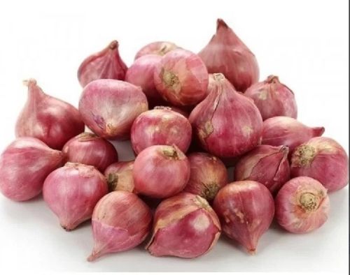 Fresh Sambar Onion For Human Consumption