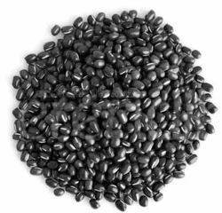 Indian Whole Black Gram For Food Medicine