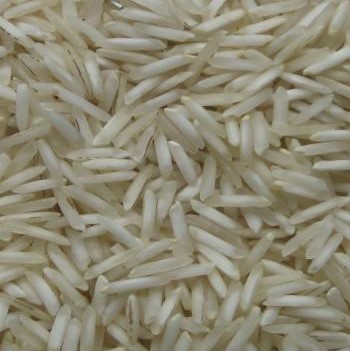 Natural 1509 Steam Basmati Rice For Human Consumption