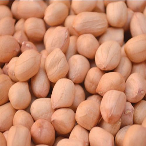 Natural Java Peanuts For Human Consumption