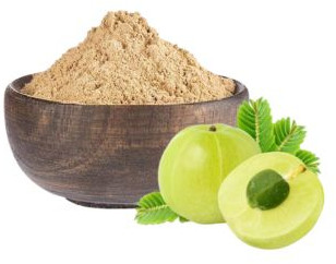 Organic Amla Powder, Grade : A1