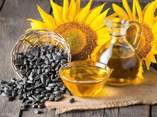 Mono Saturated Sunflower Seed Oil for Human Consumption