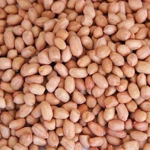 Natural Raw Peanuts For Cooking