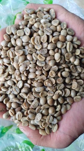 AA Green Coffee Beans, Packaging Size : 50kg, Packaging Type : Bag