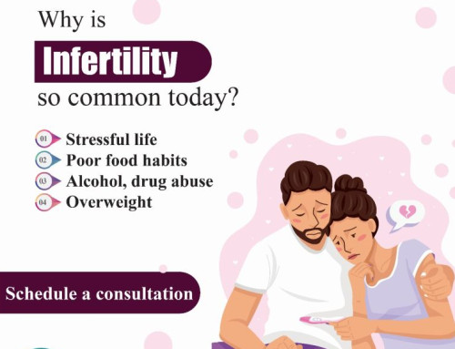 Infertility Ivf Doctor Service