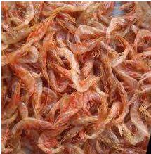 Dried Big Prawns For Home, Hotel, Mess