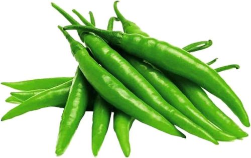 Fresh Green Chilli For Cooking