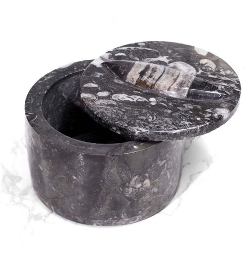 Polished Orthoceras Small Utility Box, Shape : Rectangle, Square, Round