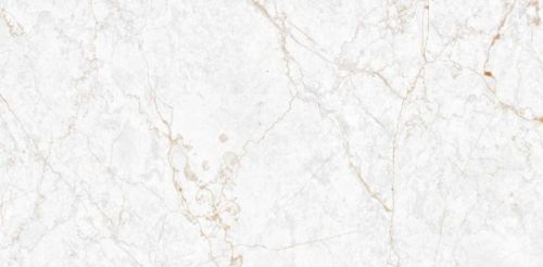 Athena White Glossy Collection Vitrified Tile