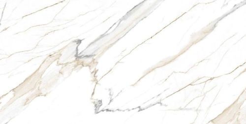 Calacatta Gold Statuario Collection Vitrified Tile