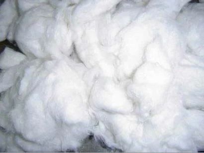 Plain Raw Cotton For Textile Industry