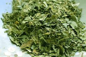 Dried Coriander Leaves For Cooking