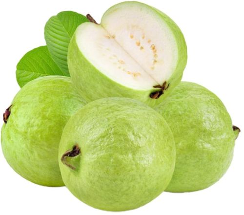 Organic Guava For Human Consumption