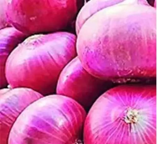 Red Onion For Human Consumption