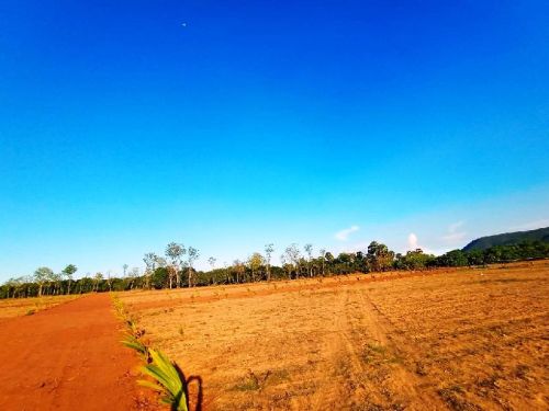 Farm Land, Near Bhogapuram