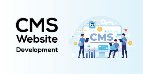 CMS Website Designing Services