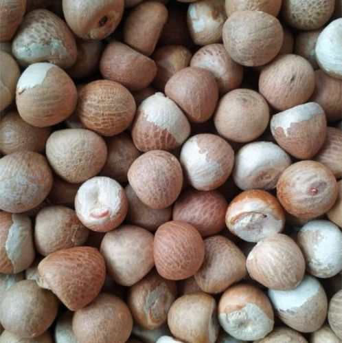 Organic Betel Nuts For Ayurvedic Formulation, Chinese Medicines, Cooking, Food, Herbal, Herbal Formulation