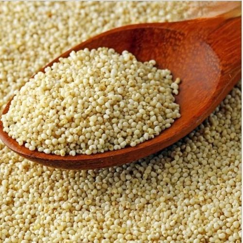 KGIC Grass Poppy Seeds