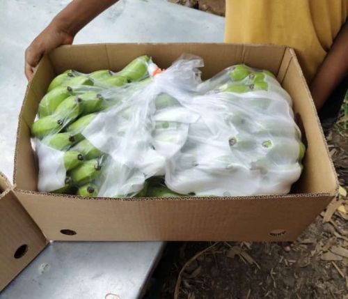 Banana, Packaging Size : 13 Kg