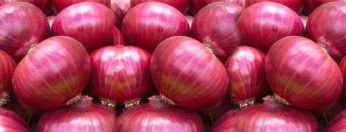 Fresh Big Red Onion For Cooking