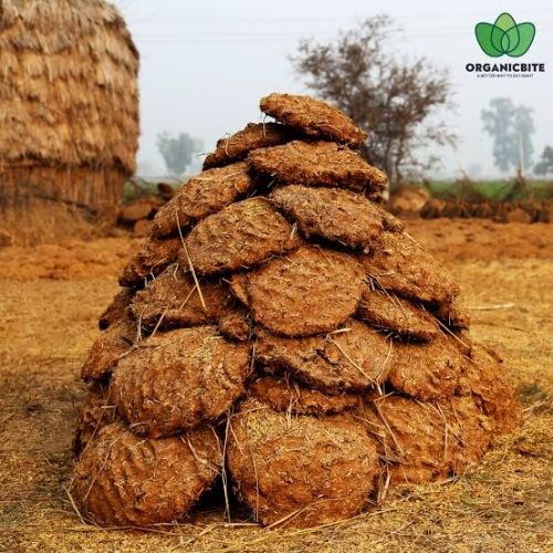 Cow dung cake, Packaging Type : Loose