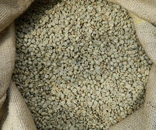 PB Arabica Washed Plantation Coffee Beans, Packaging Type : Plastic Pack