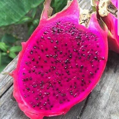 Natural Hybrid Dragon Fruit For Human Consumption