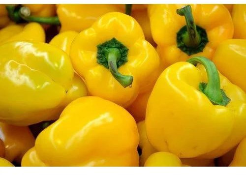 Natural Yellow Capsicum For Cooking