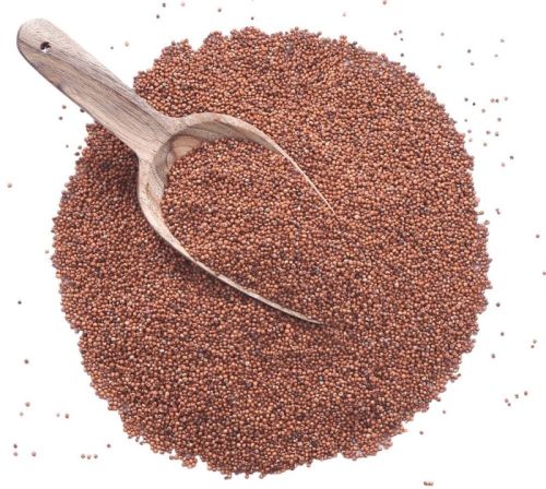 Finger Millet, Color : Red