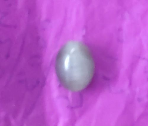 Polished Cats Eye Gemstone, Shape : Diamond Shape