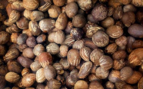 Shea Nut, Packaging Type : Brown, Packaging Size : 25-50Kg