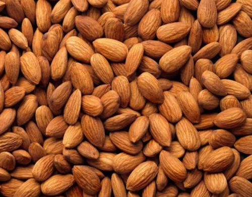 Almond, Storage Condition : Dried