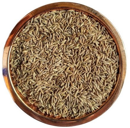 Dried Cumin Seeds For Cooking, Spices