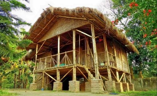 Bamboo House